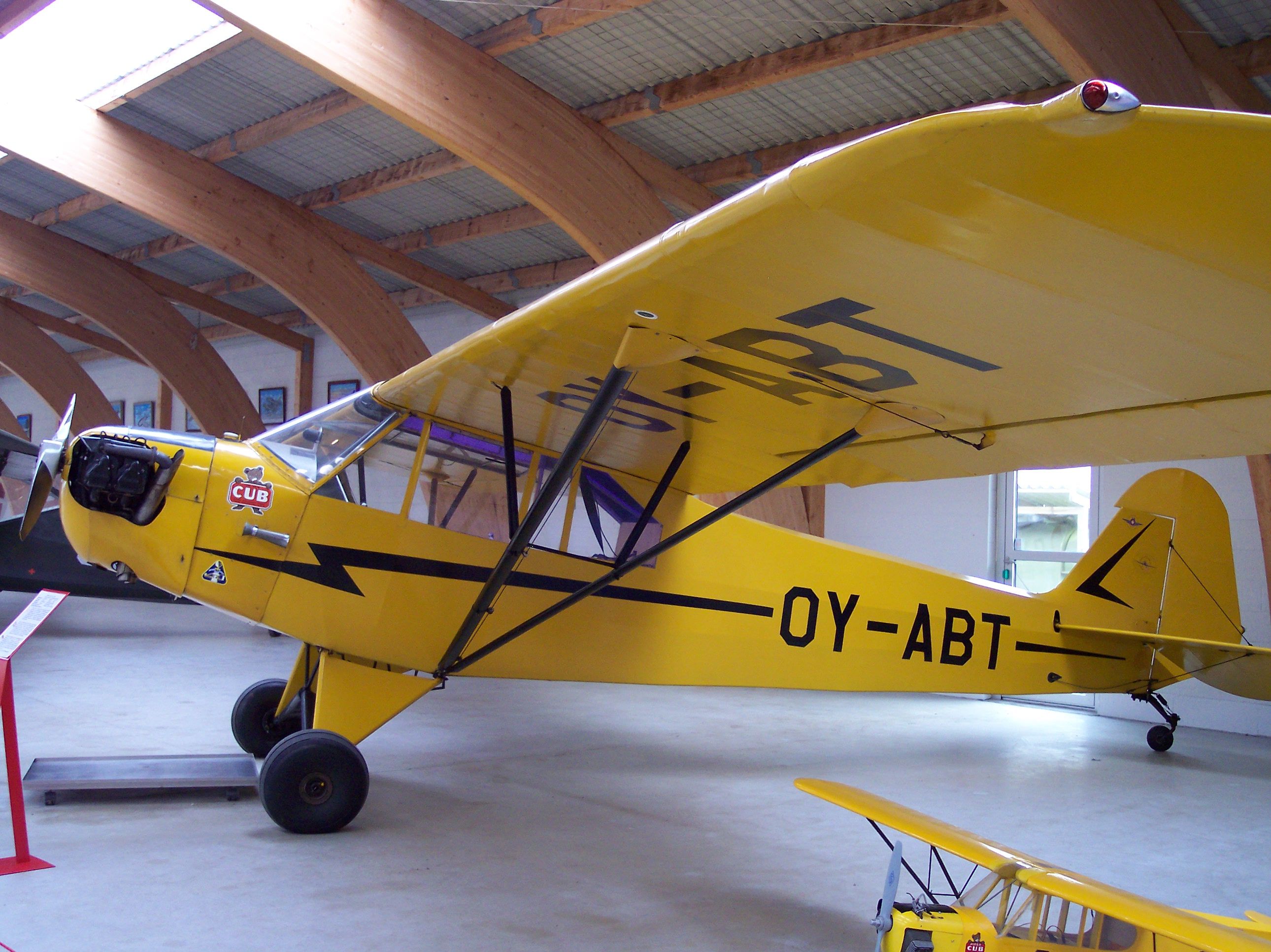 Aedan Janelle Piper Cub